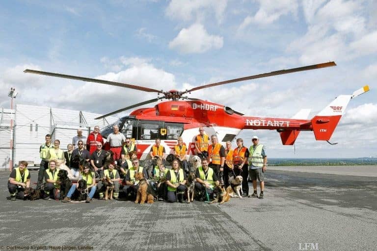 Spürhunde werden an Hubschrauber gewöhnt