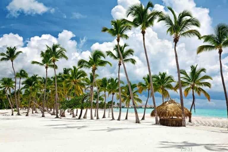 Condor füllt Lücke für Reisende ab Düsseldorf