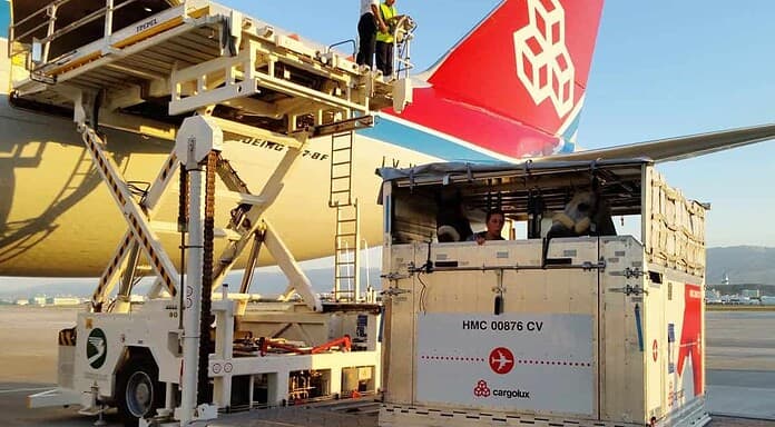 Springpferde fliegen nach Aschgabad