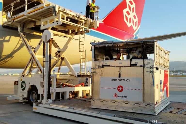 Springpferde fliegen nach Aschgabad