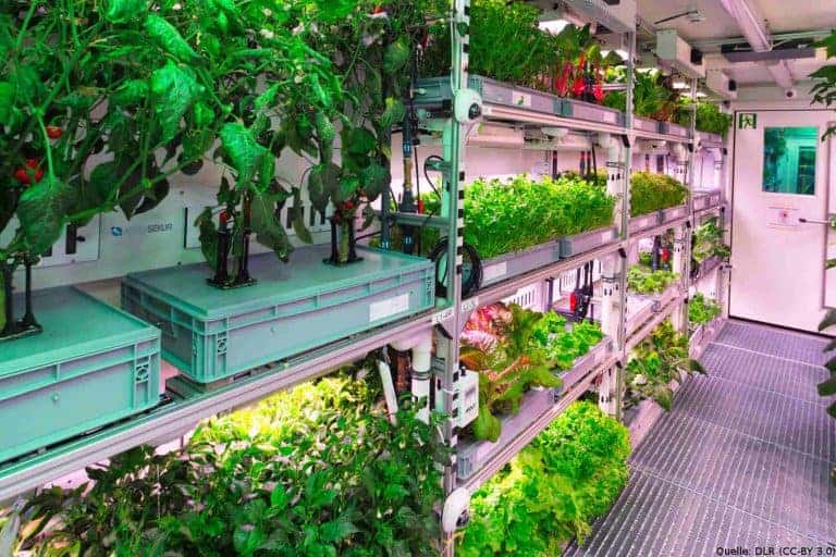 Gemüseernte in der Antarktis: Gewächshaus für Raumfahrer legt ab