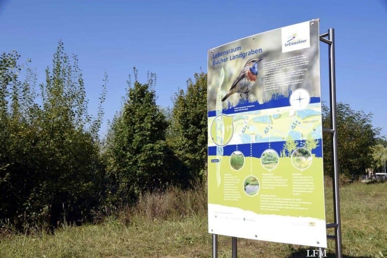 Nürnberg Airport: Pflegemaßnahmen für Regenrückhaltebecken