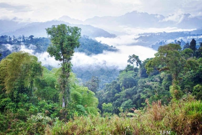 Quito: Condor fliegt zur höchsten Hauptstadt der Welt