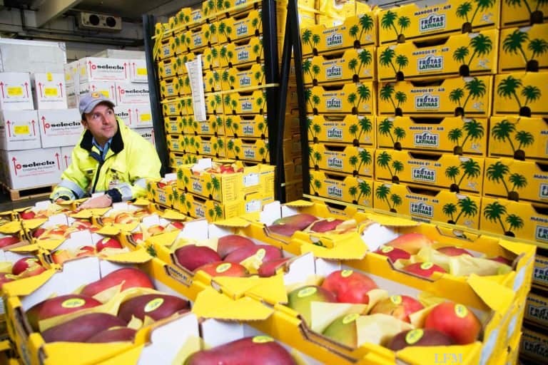 Lufthansa Cargo mit Fresh/td auf der Fruit Logistica