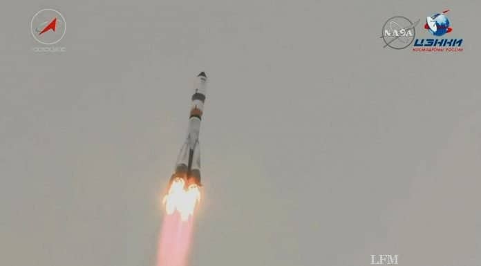 ICARUS: ISS beobachtet Tiere aus dem Weltall