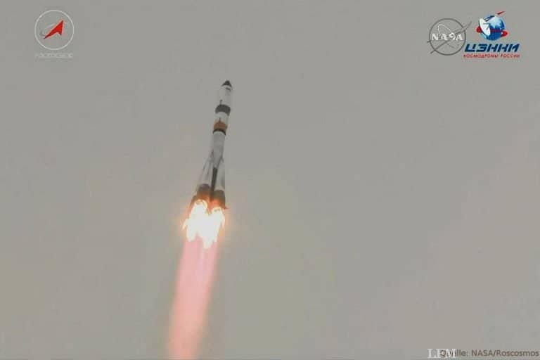 ICARUS: ISS beobachtet Tiere aus dem Weltall