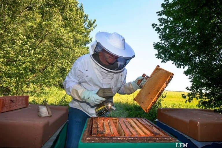 Lufttester am Flughafen Hamburg fleißig im Flug