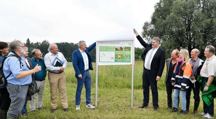 Freisinger Moos: Flughafen Lebensraum für selten Arten