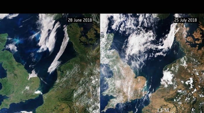 Copernicus für Deutschland: Spezialisten zu den Daten