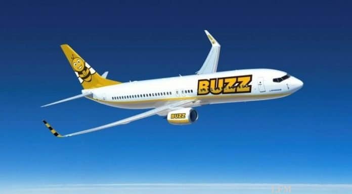 Biene Buzz kommt mit Kattowitz nach Dortmund
