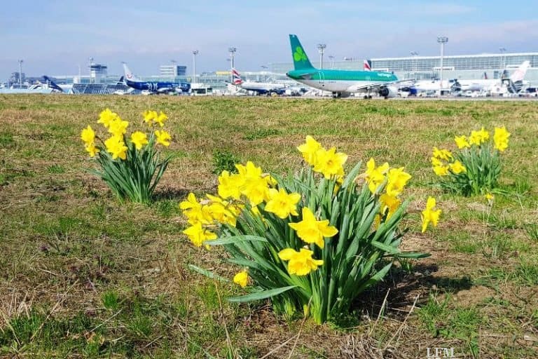 Reisewelle bis Oktober: Tipps fürs Fliegen ab Fraport