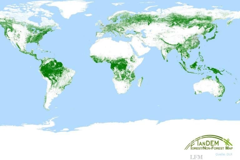 Radarauge aus dem All erkennt Waldzustand