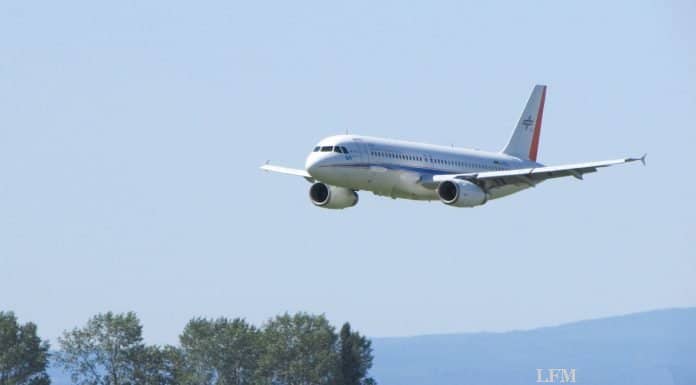 Tiefflug gegen Tiefflieger: Insekten stören Aerodynamik an Tragflächen