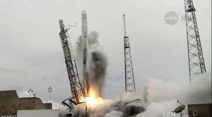 SpaceX bringt Tumor- und Immunzellen zur ISS