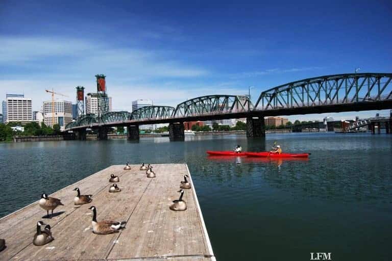 Condor startet 2015 Verbindung Frankfurt – Portland, Oregon