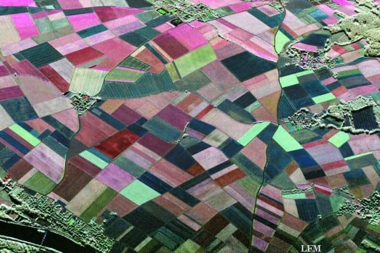 Radarsatelliten erfassen Pflanzenwachstum für Landwirtschaft und Umwelt