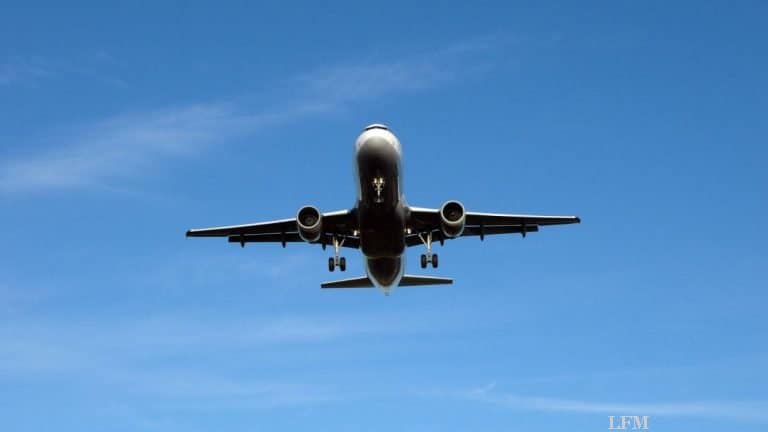 Lotsen sollen Rollweg-Konflikte früher erkennen