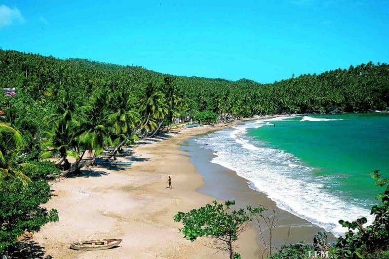 Condor feiert weiteren Erstflug zu Langstrecken-Urlaubsziel ab München