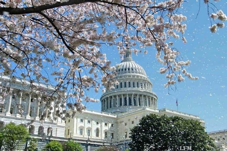 Condor steigert Frequenz nach Baltimore/Washington