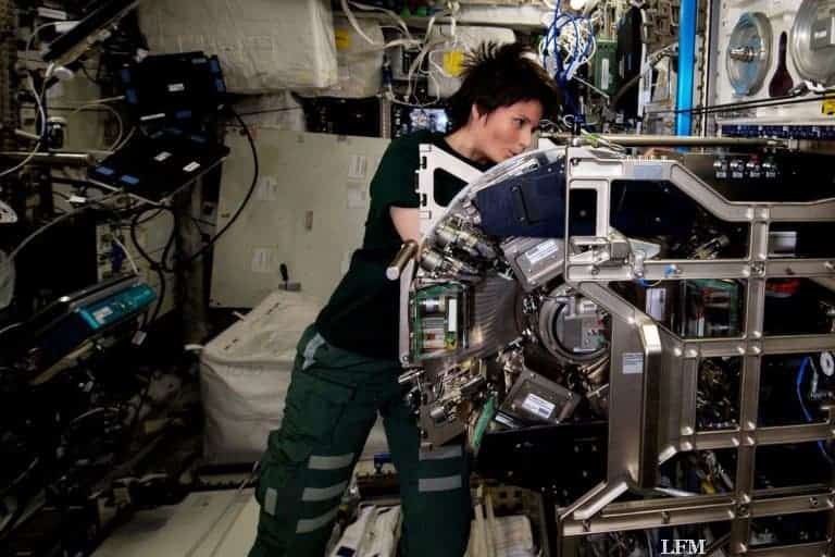 Fresszellen aus Miesmuscheln unter Beobachtung auf der ISS