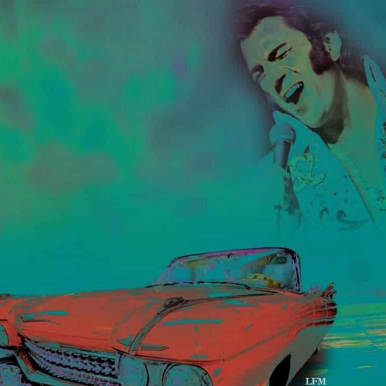 Elvis Presley beim Airlebnis-Muttertag am Flughafen Frankfurt