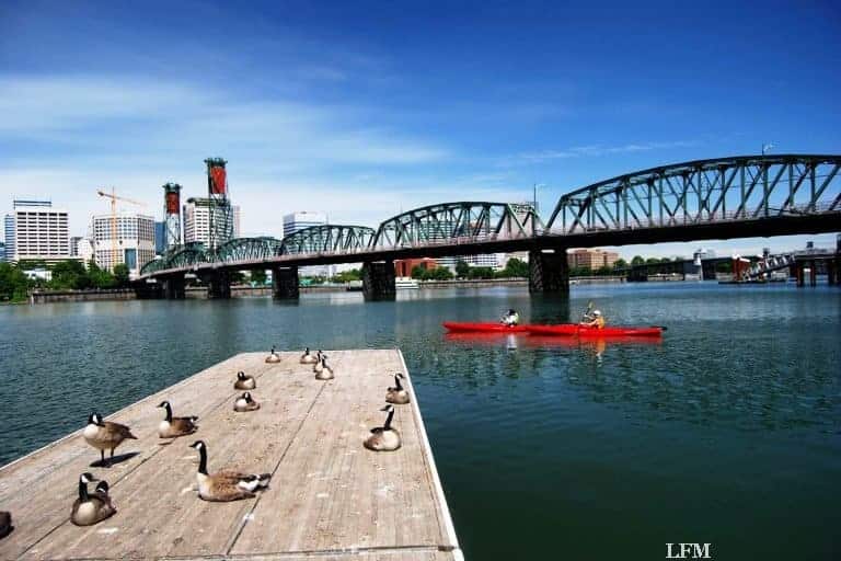 Condor stockt USA-Ziele ab Frankfurt auf – Neu nach Rio de Janeiro