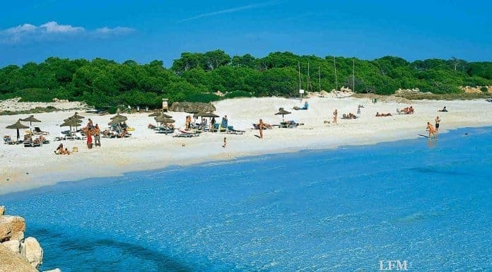 Condor erweitert Flüge – Neu nach Varna