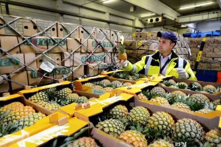 20 Jahre PCF am Flughafen Frankfurt