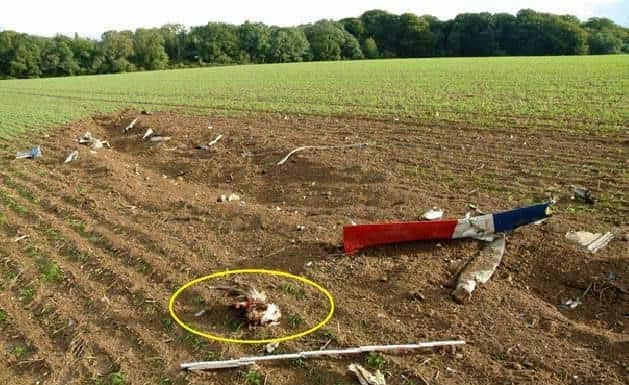 Flugabwehr Übung: Vogelschlag lässt Pilatus Piloten abstürzen