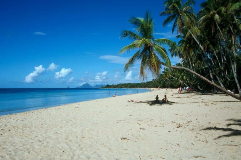 Condor steuert Inselparadies Martinique an