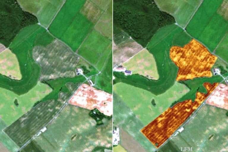 Erneuerbare Energien besser skalieren dank Satellitendaten