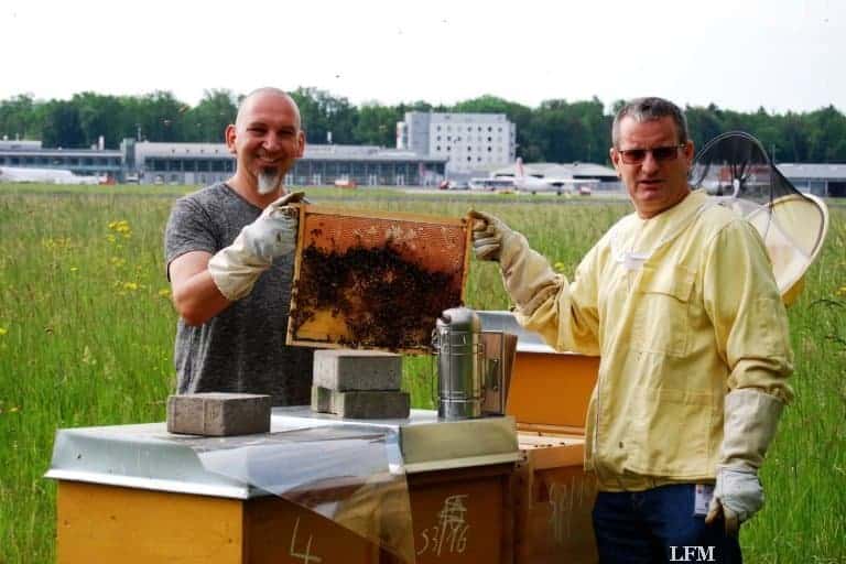 Imkerei am Airport: Saubere Luft und viel Flugbewegung
