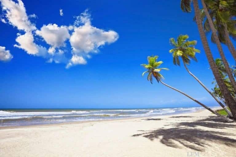 Condor nimmt Bahamas ins Visier