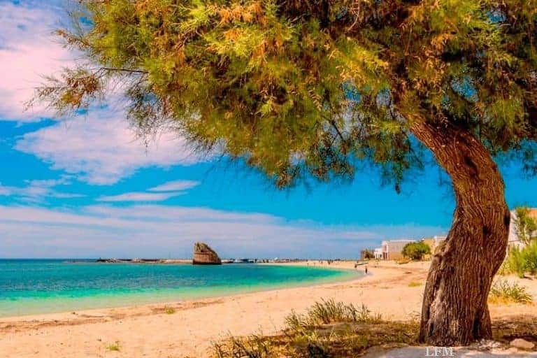 München im August direkt mit Brindisi verbunden