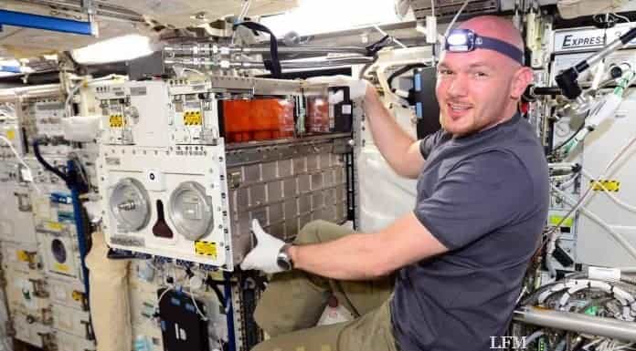 „Überflieger“ dürfen Experimente zur Raumstation schicken