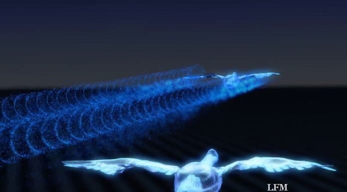 Airbus lernt von Mutter Natur: Fliegen im Windschatten Airbus lernt von Mutter Natur: Fliegen im Windschatten
