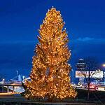 Flughafen München begrüßt mit 19 Meter Weihnachtsbaum