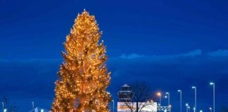 Flughafen München begrüßt mit 19 Meter Weihnachtsbaum