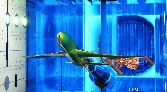 Deutsche Spitzenforschung zum High-Speed Stall Flugzeugmodell im Transschall-Windkanal: Eine Fotomontage eines Windkanalmodells über das bildlich die numerische Simulation der Aerodynamik eines Verkehrsflugzeus bei hohen Fluggeschwindigkeiten gelegt wurde.