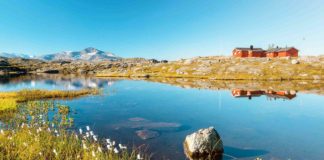 Schwedisch-Lappland: Nach Arvidsjaur ab Köln-Bonn