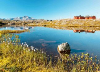 Schwedisch-Lappland: Nach Arvidsjaur ab Köln-Bonn