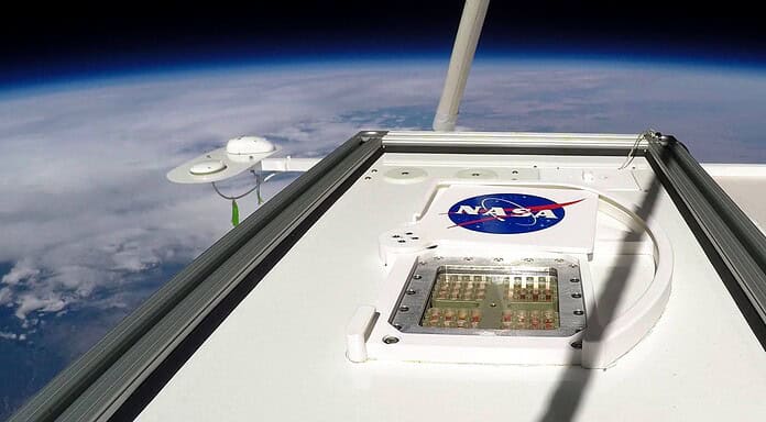 Mikrobiologie unter Marsbedingungen in Stratosphäre DLR-Probenträger mit Bakterien und Pilzesporen auf neunstündiger Reise in die Stratosphäre