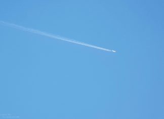 Schweiz stärkt Airlines gegen störende Fluggäste