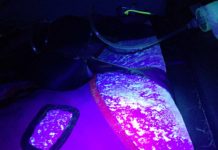 Keime im Hubschrauber: DRF Luftretter verfolgen Viren Keime im Hubschrauber: DRF Luftretter verfolgen Viren