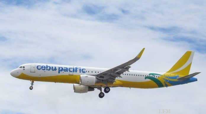 Cebu Pacific setzt auf Jettainers ULD-Expertise Jettainer erwirbt bestehende ULD-Flotte (Foto: Cebu Pacific)
