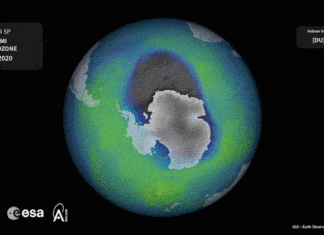 Ozon-Entwicklung über der Antarktis