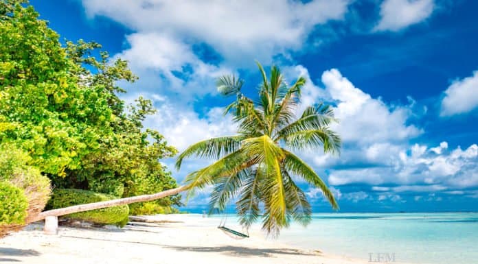 Lufthansa setzt im Sommer mehr auf Urlaubsziele Lufthansa bietet touristische Flugreisen in die Karibik