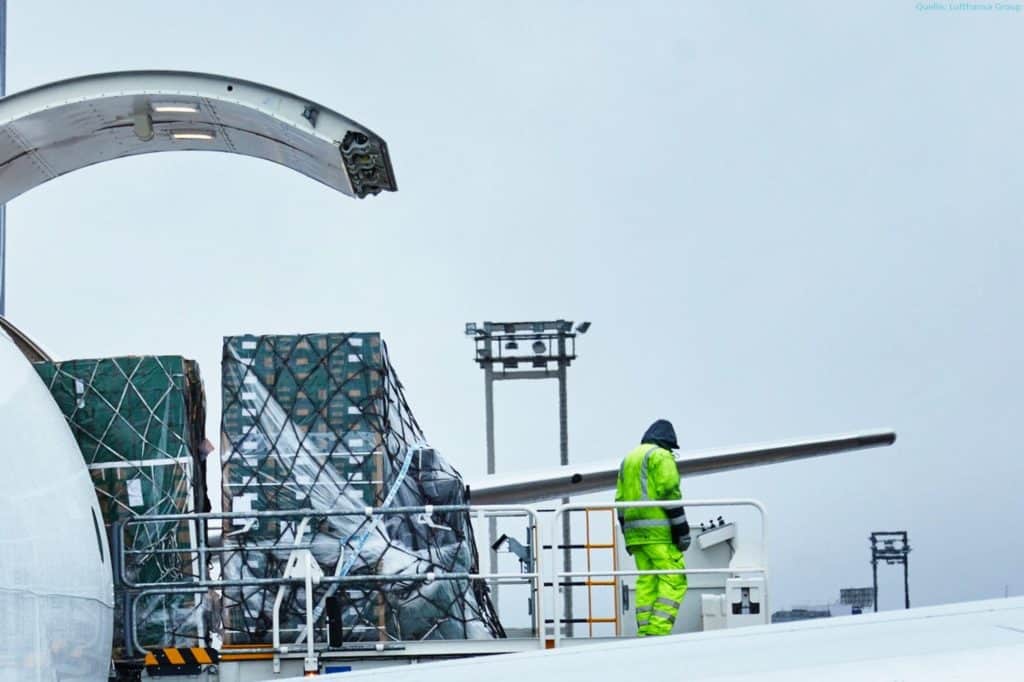 Lufthansa Cargo baut A321 zu Frachtflugzeugen um