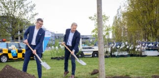 Die beiden Geschäftsführer Dr. Raoul Hille (rechts) und Prof. Dr. Martin Roll pflanzten die Rotbuche.