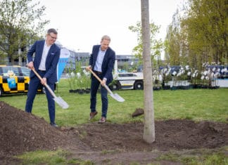 Die beiden Geschäftsführer Dr. Raoul Hille (rechts) und Prof. Dr. Martin Roll pflanzten die Rotbuche.
